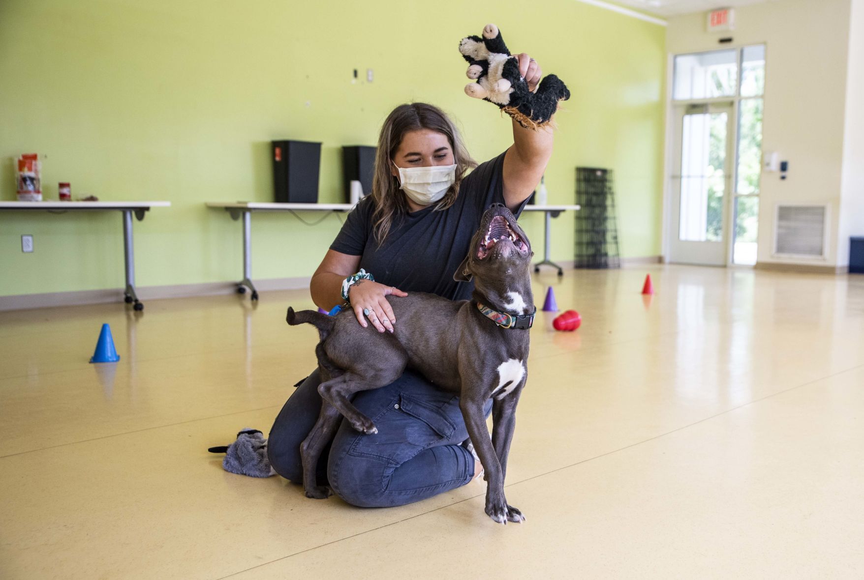 Lynchburg Humane Society